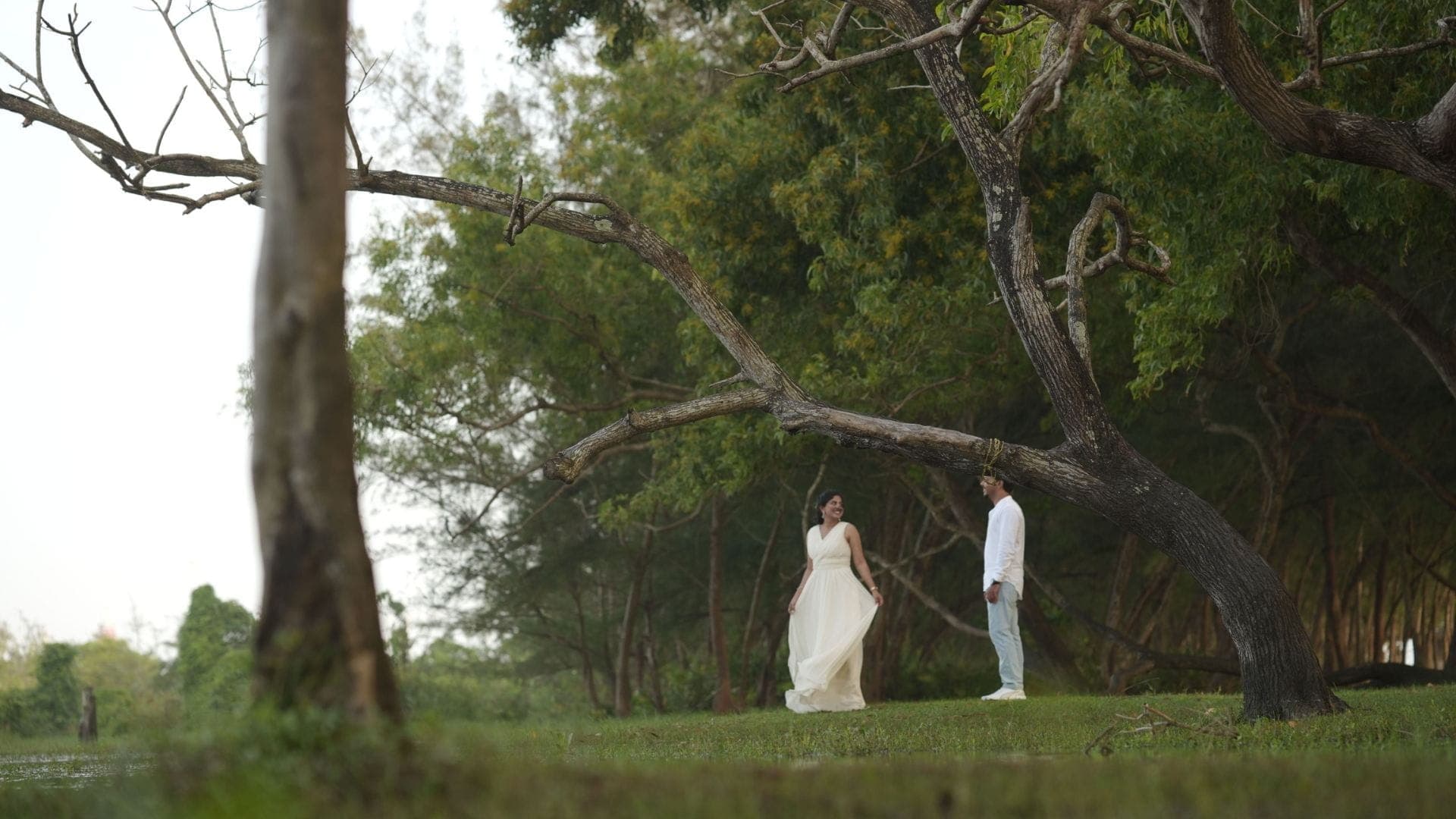 Wide Shot 1